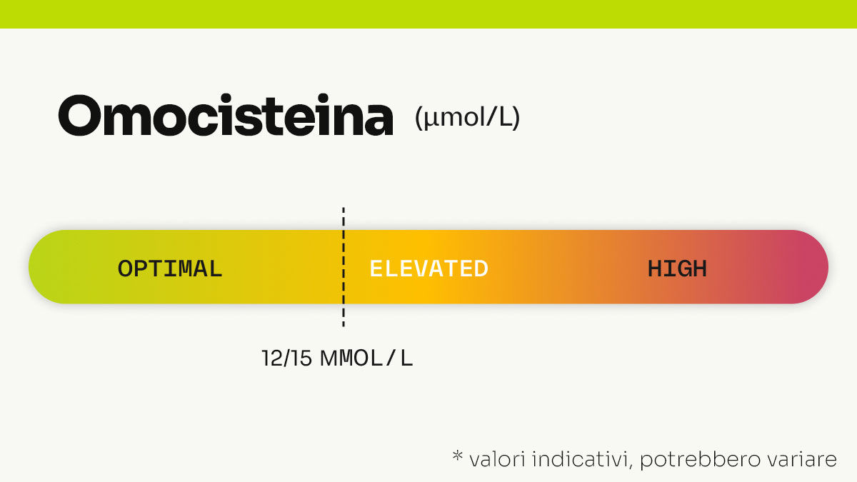 omocisteina alta