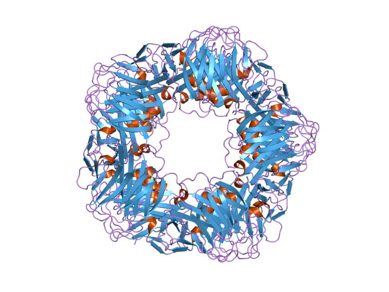 Proteina c reattiva alta